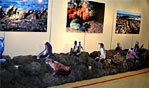 ガラパゴス写真展・スチロール擬岩
