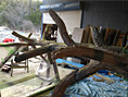 東山動植物園・カナダヤマアラシ擬木・巣箱