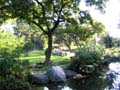 天王寺動物公園サバンナ（キリン・草食動物）擬岩・擬木