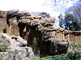 多摩動物公園　オオカミ・トラ舎　擬岩