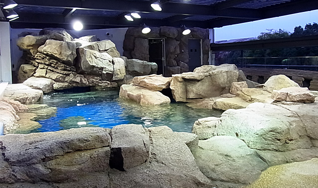 京都水族館・ペンギン水槽展示工事