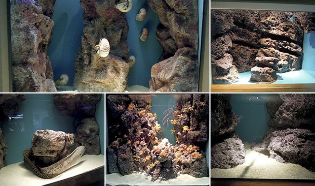 しまね海洋館アクアス・ナイトダイブ水槽擬岩展示工事