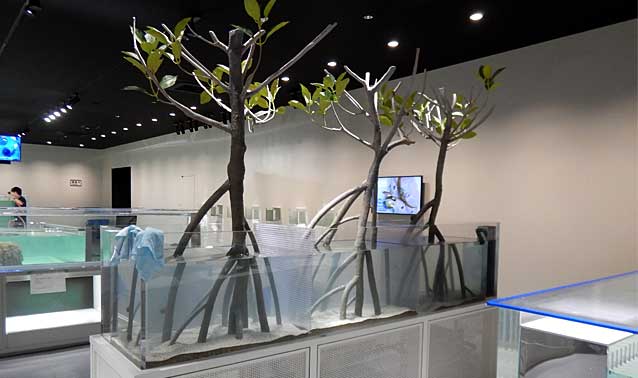 EXPO水族館新築工事（仮称）（NIFREL)・個水槽展示工事