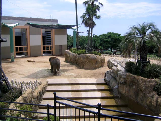 宮崎市フェニックス自動動物園・ゾウ舎