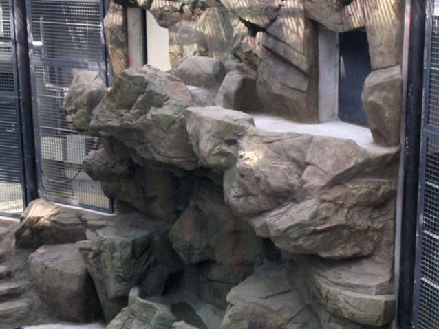 多摩動物公園　オラウータン舎