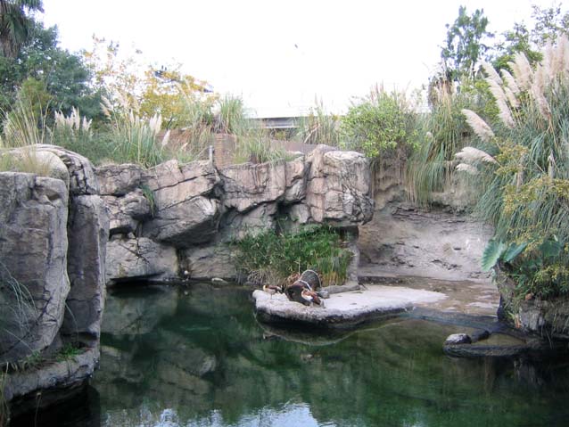 天王寺動物園・カバ舎