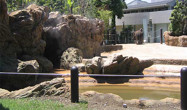 上野動物園・ゾウ舎