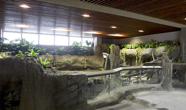 円山動物園・熱帯雨林館マレーバク舎擬岩・擬木工事