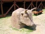 牛の頭部・立体造形