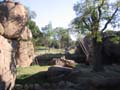 天王寺動物園　肉食獣舎　擬岩
